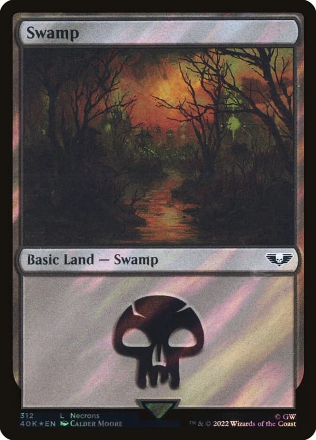 Swamp image