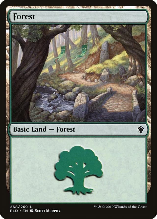 Forest image