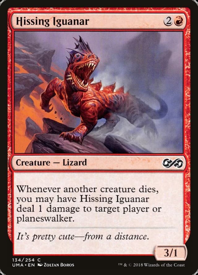 Hissing Iguanar image