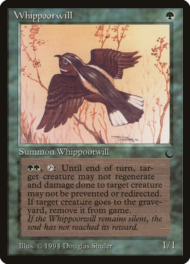 Whippoorwill image