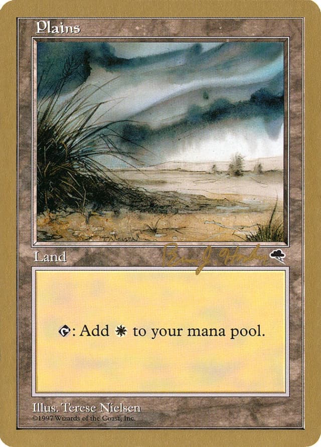 Plains image