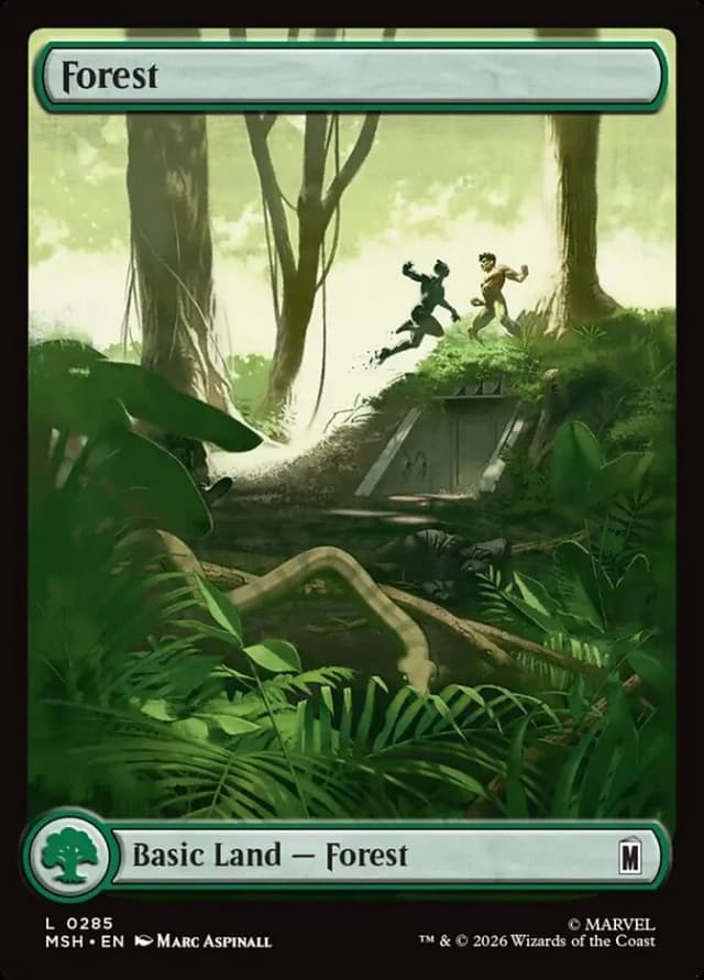 Forest image
