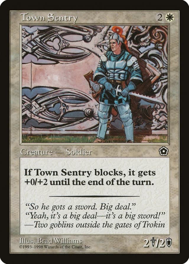 Town Sentry image