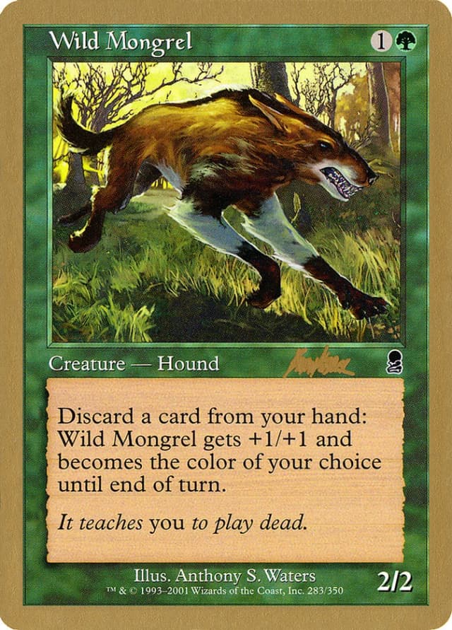 Wild Mongrel image