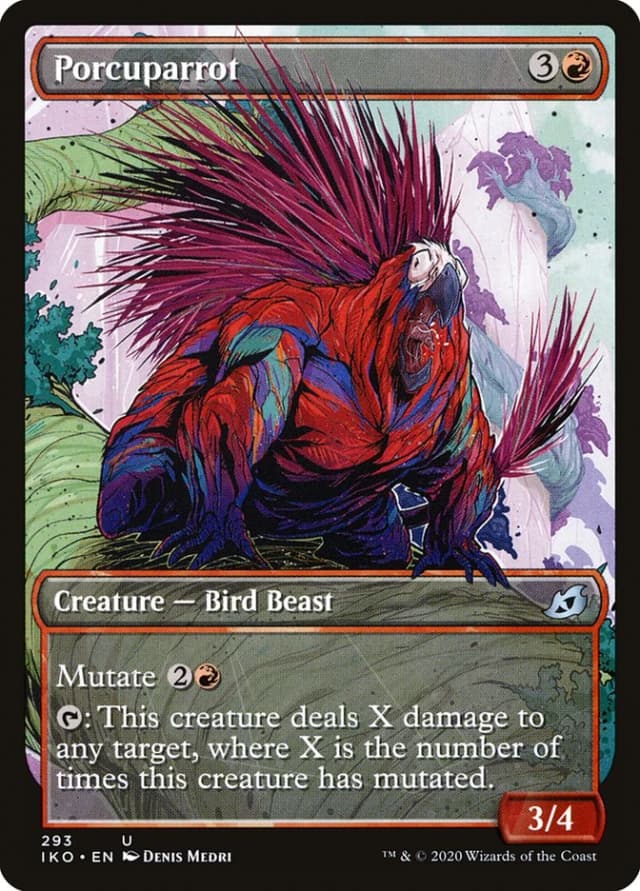 Porcuparrot image