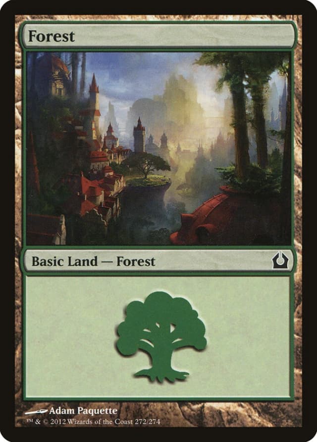 Forest image