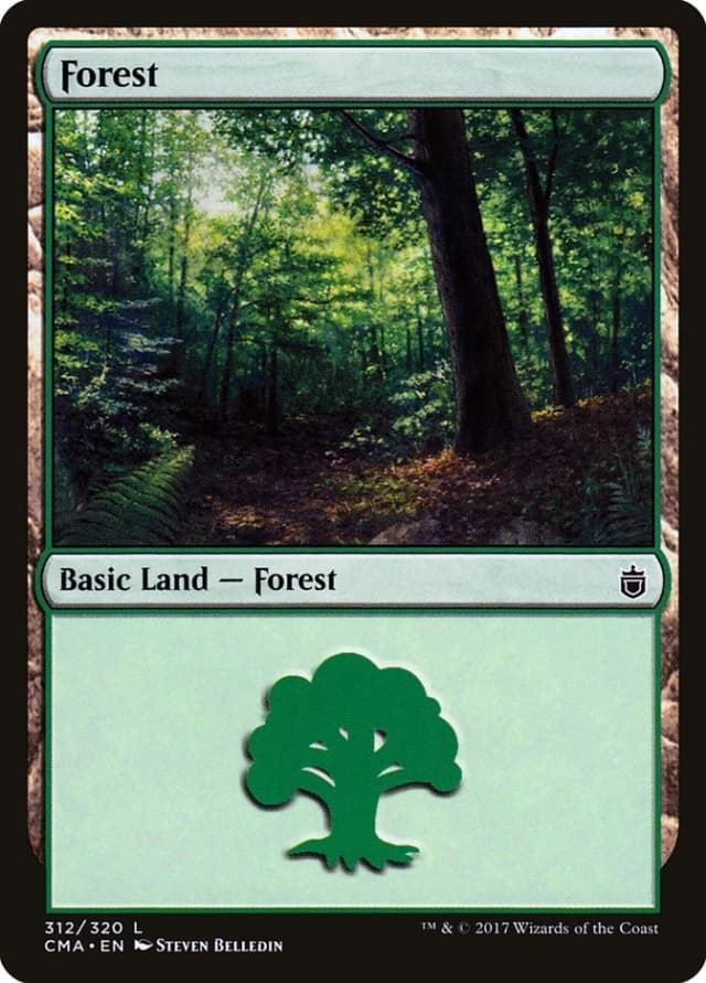 Forest image