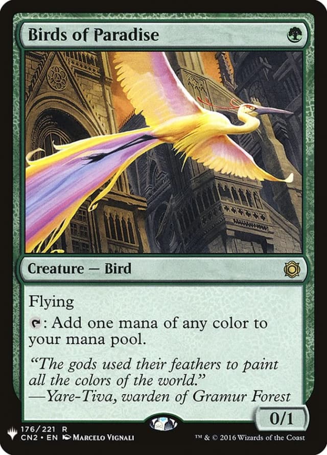 Birds of Paradise image