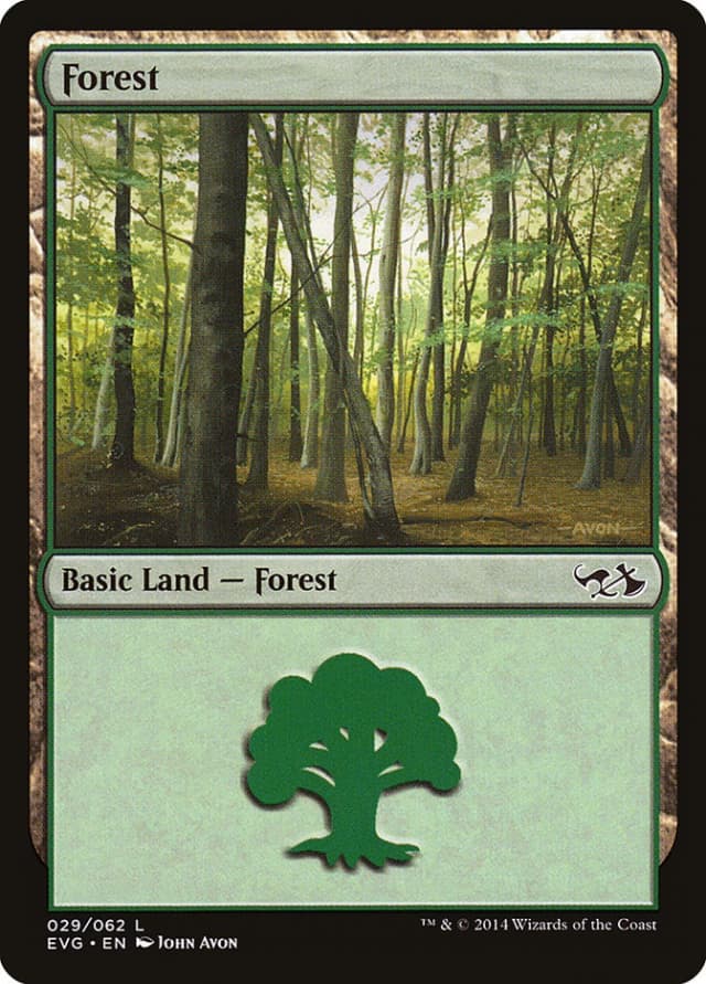 Forest image