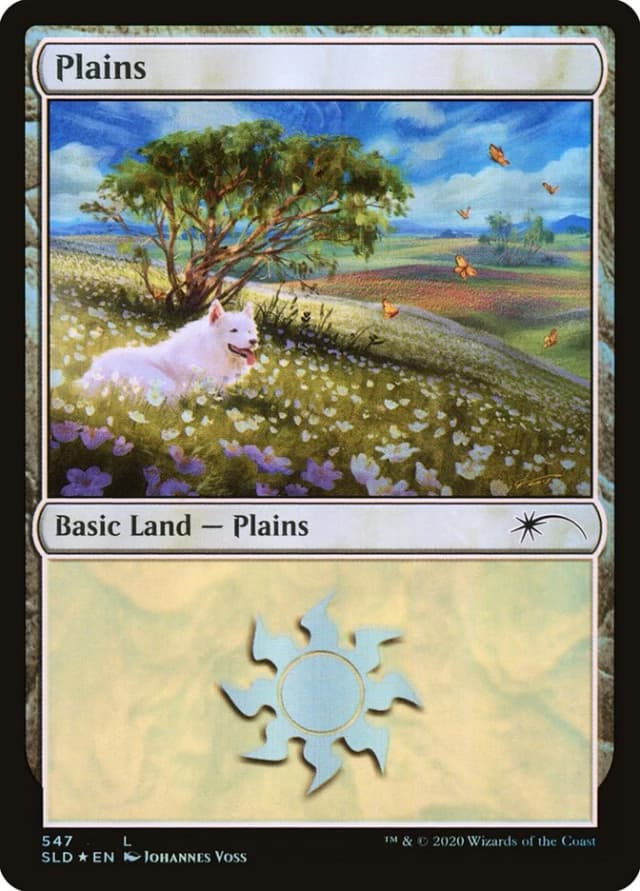 Plains image