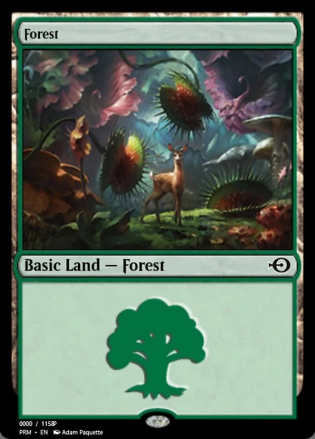 Forest image