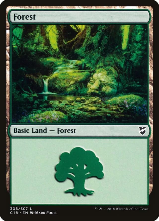 Forest image