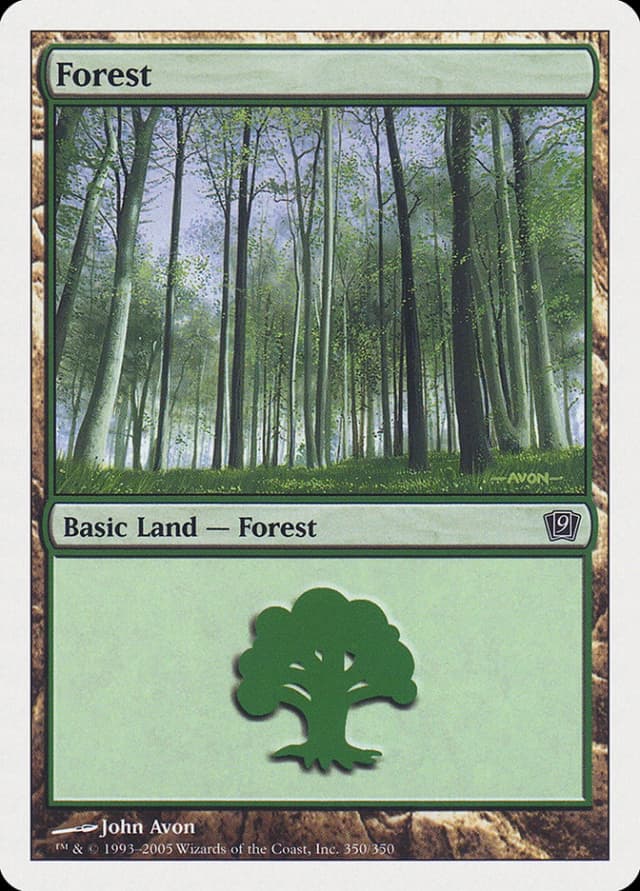 Forest image