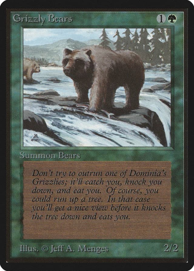 Grizzly Bears image