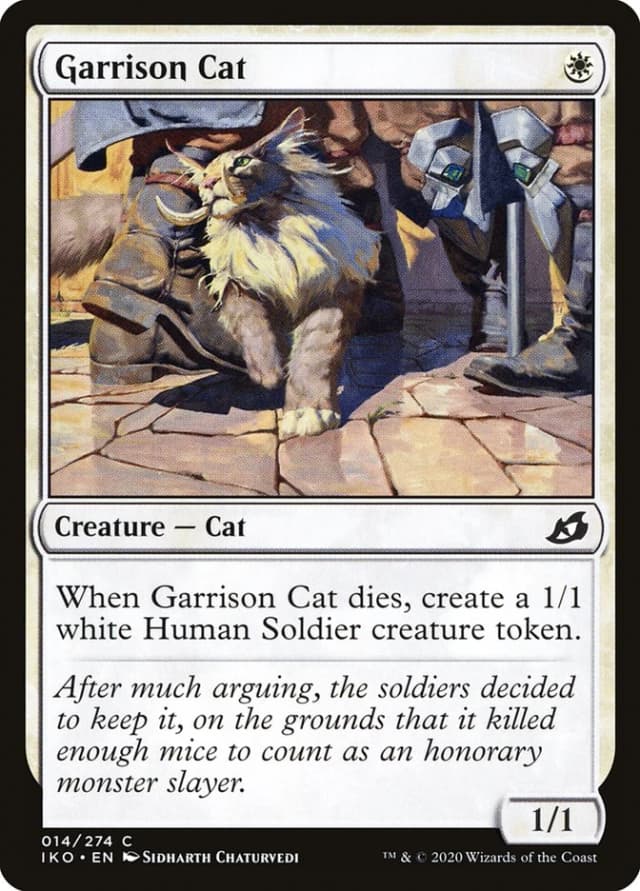 Garrison Cat image