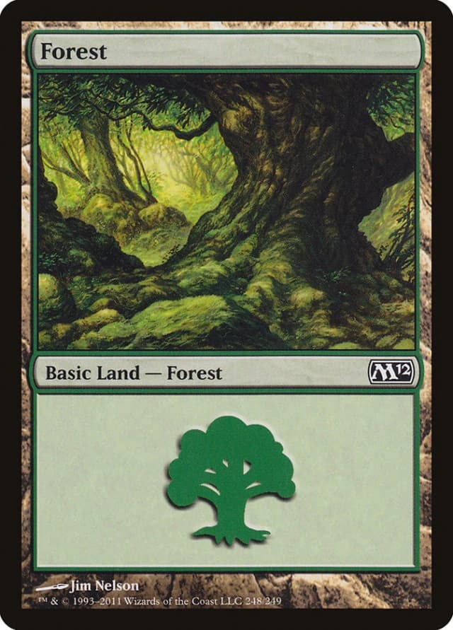 Forest image