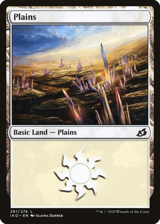 Plains image