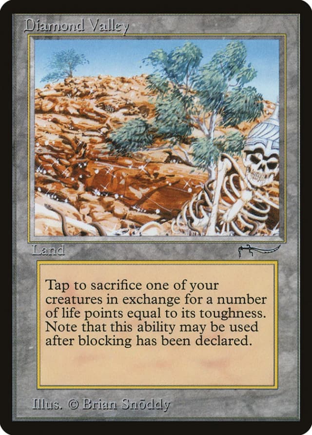 Diamond Valley image
