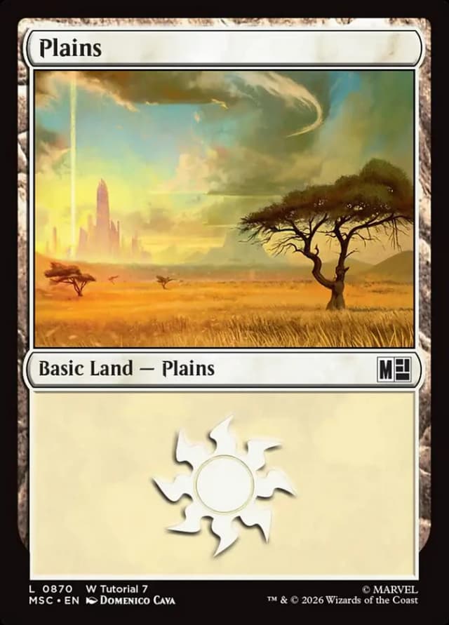 Plains image