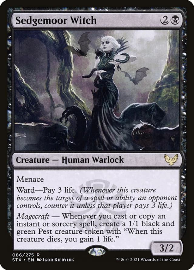 Sedgemoor Witch image
