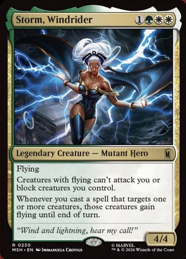 Storm, Windrider image