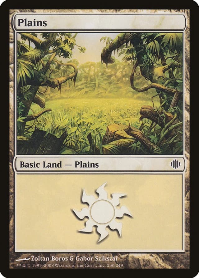 Plains image