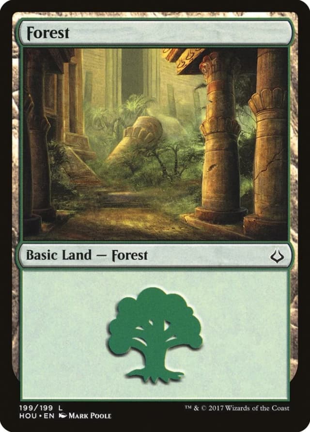 Forest image