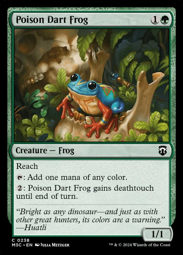 Poison Dart Frog image