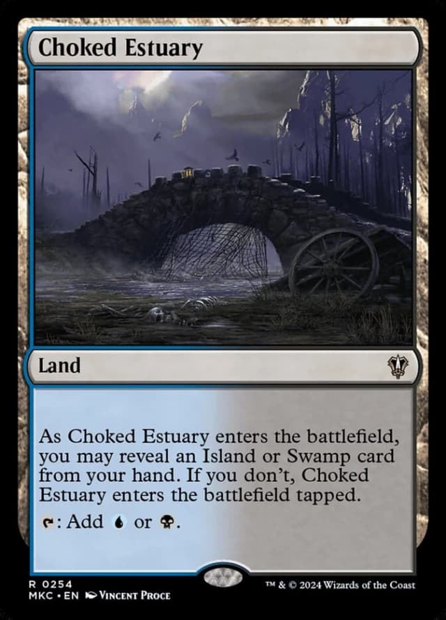 Choked Estuary image