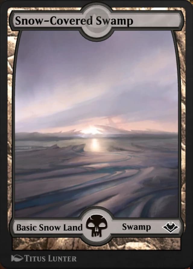 Snow-Covered Swamp image