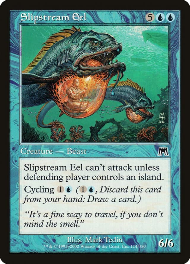 Slipstream Eel image