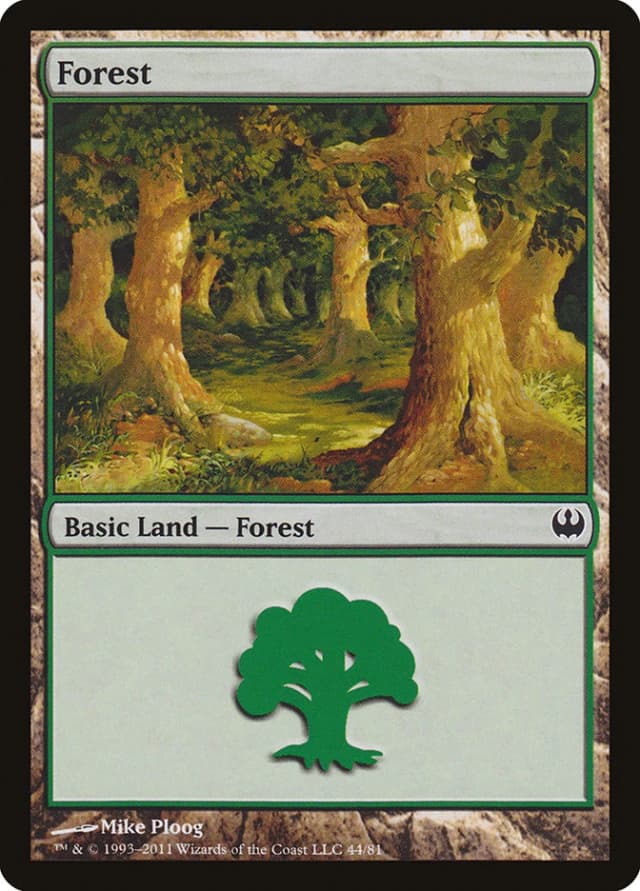 Forest image