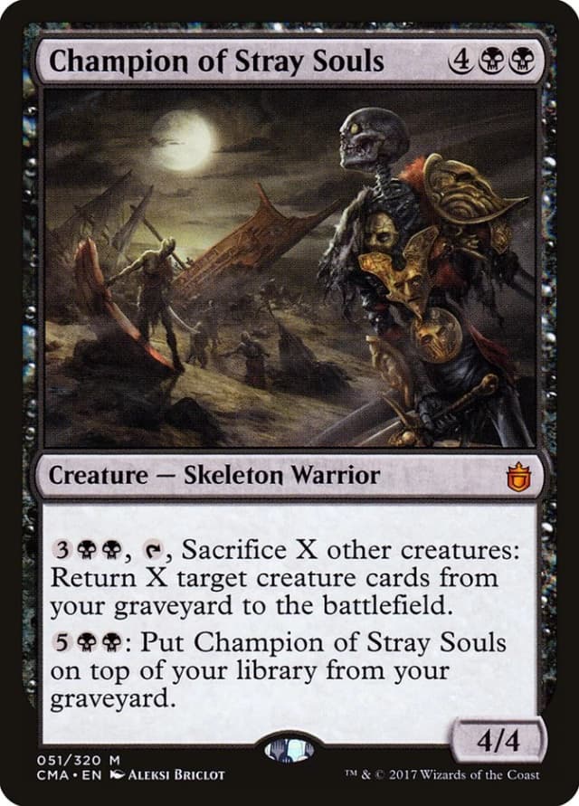 Champion of Stray Souls image