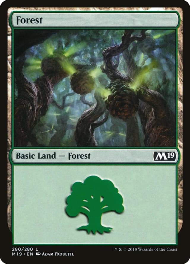 Forest image