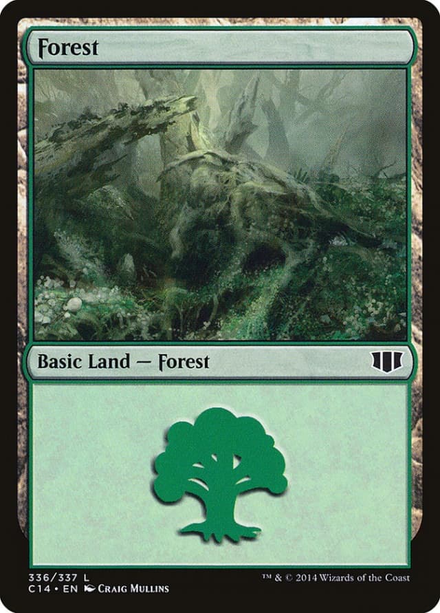 Forest image
