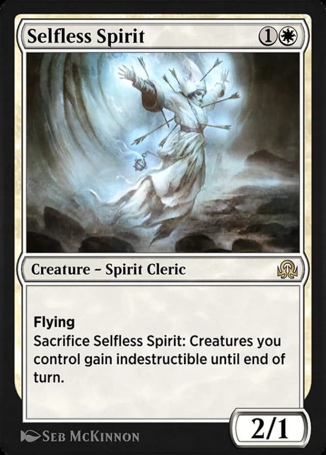 Selfless Spirit image