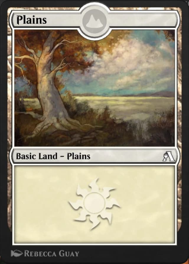 Plains image