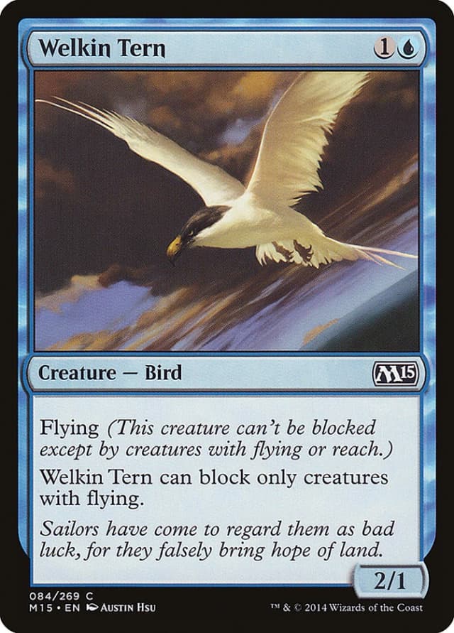 Welkin Tern image