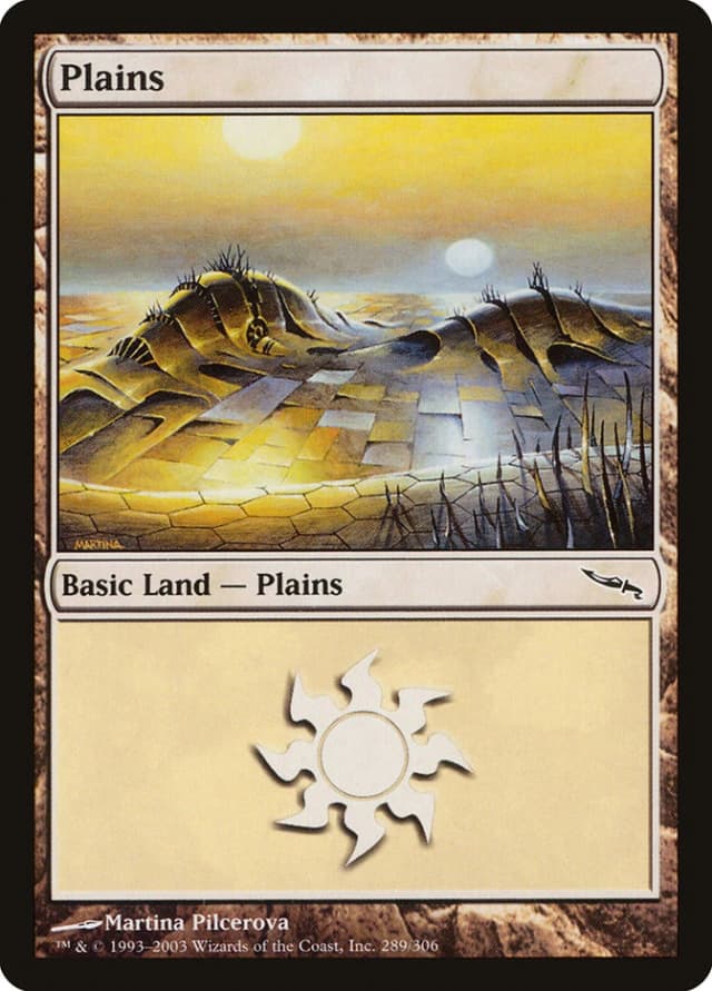 Plains image