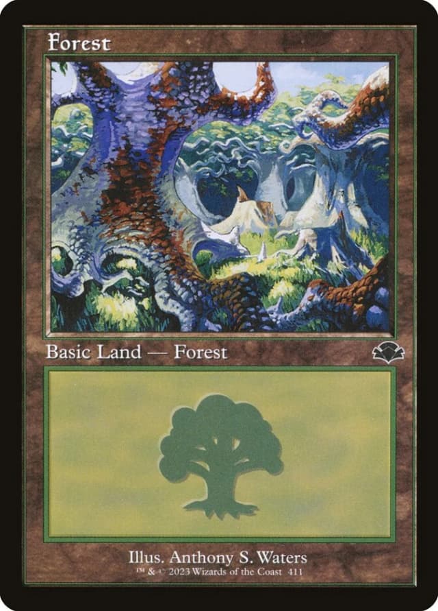Forest image