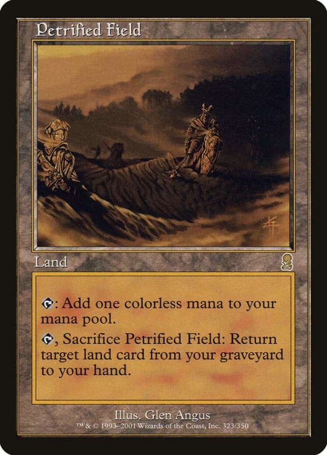 Petrified Field image