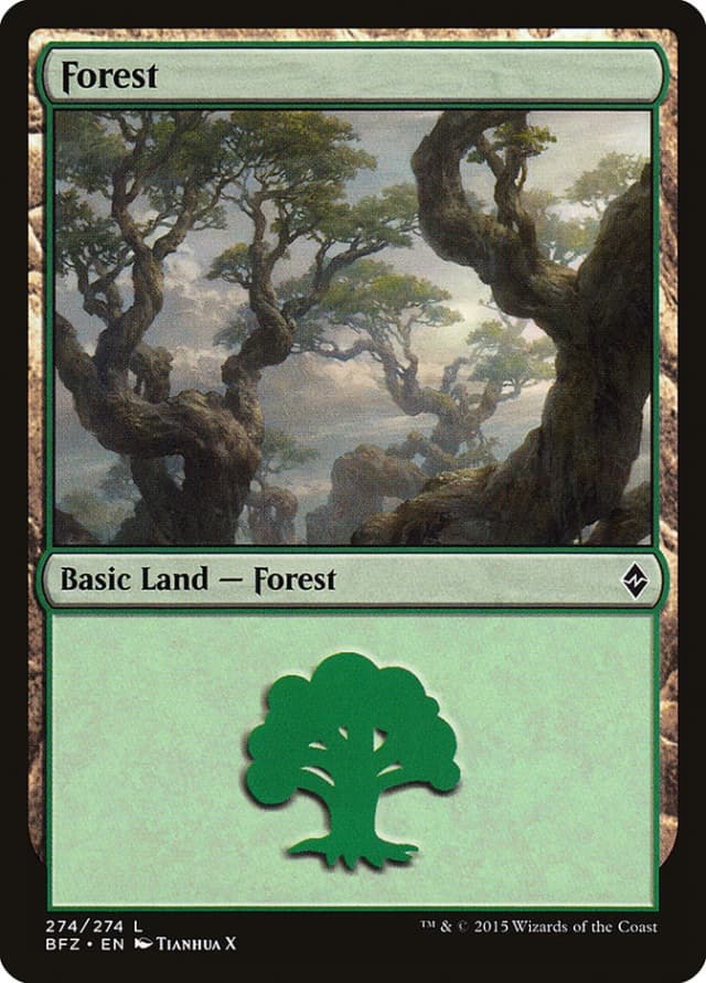 Forest image