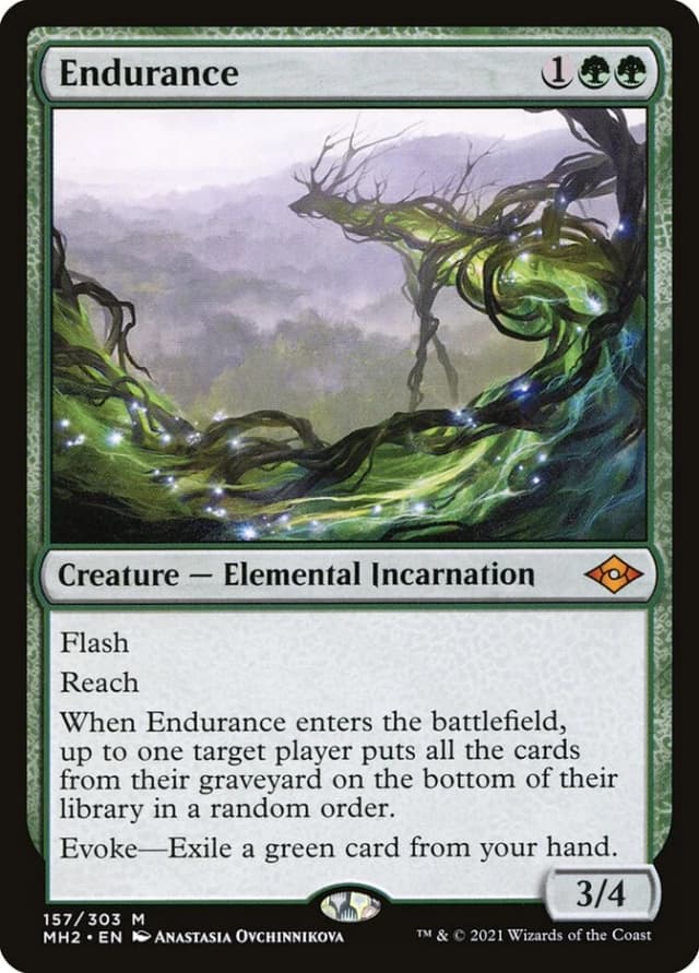 Endurance image