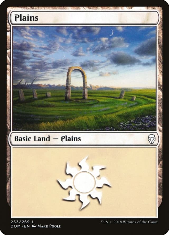 Plains image