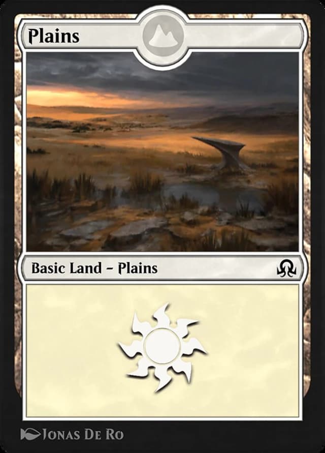 Plains image