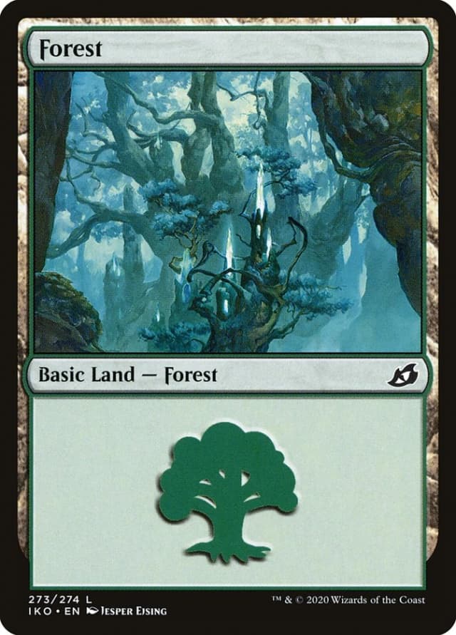 Forest image