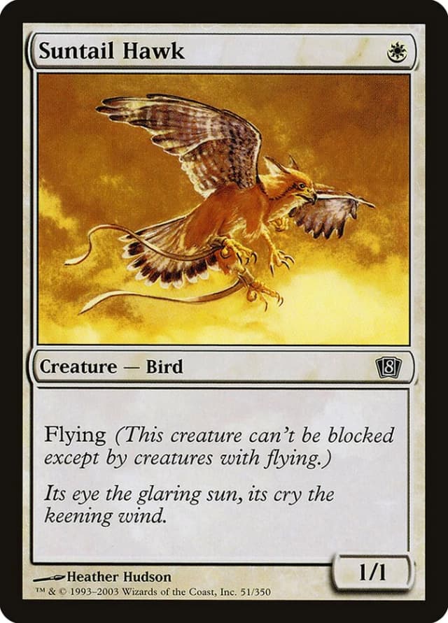 Suntail Hawk image