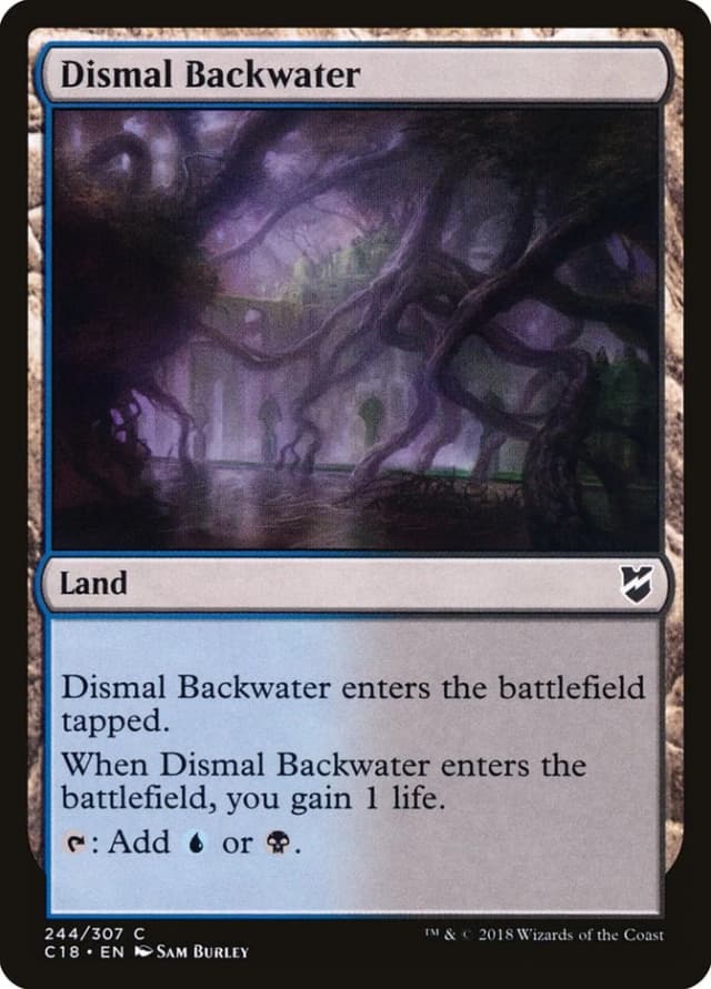 Dismal Backwater image