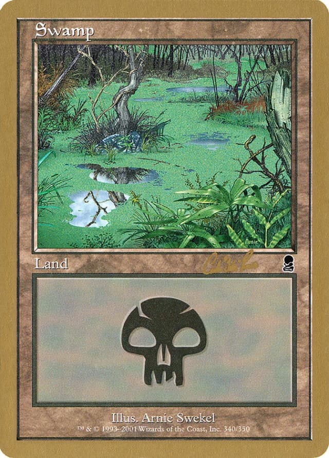 Swamp image