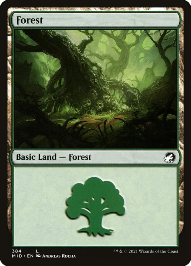 Forest image